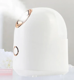 Beauty Mist Steamer